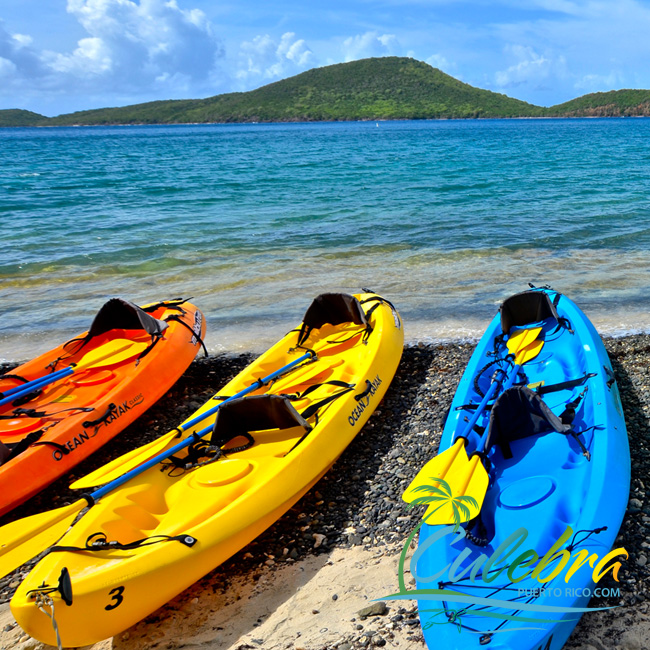 Kayaks en Culebra