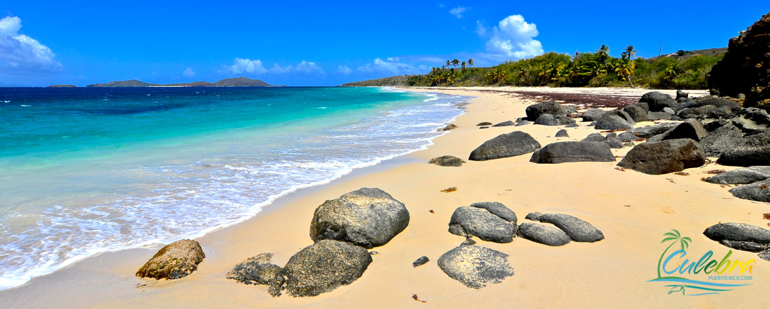 Best Of Culebra Puerto Rico Tourism 2024 Travel Guide Things To Do 