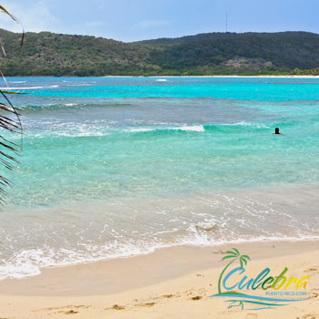 Puerto Rico Beach Vacation - Culebra Island