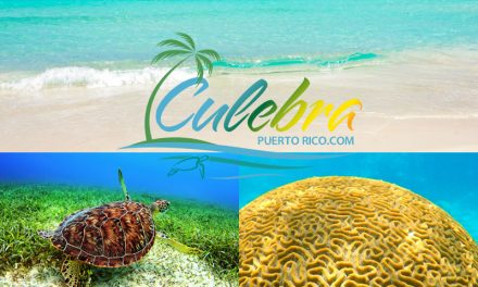Best Beaches in Culebra, <BR>One of The Islands of Puerto Rico