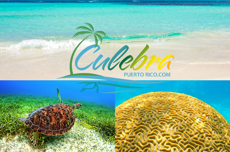 Culebra Beaches
