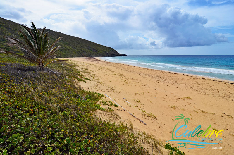 Playa Resaca - Beaches of Culebra Island, Puerto Rico