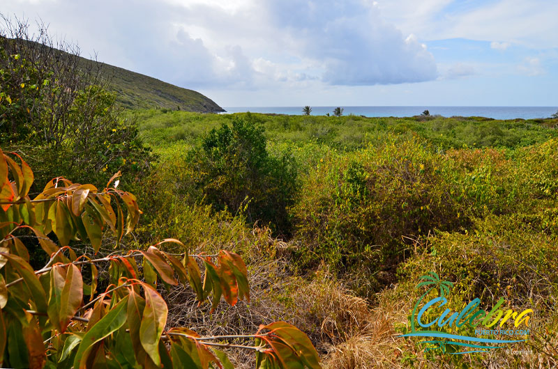 Playa Resaca - Beaches of Culebra Island, Puerto Rico