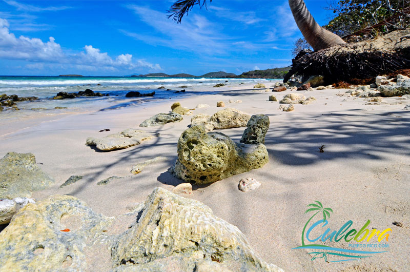 Zoni Beach - Culebra Island, Puerto Rico