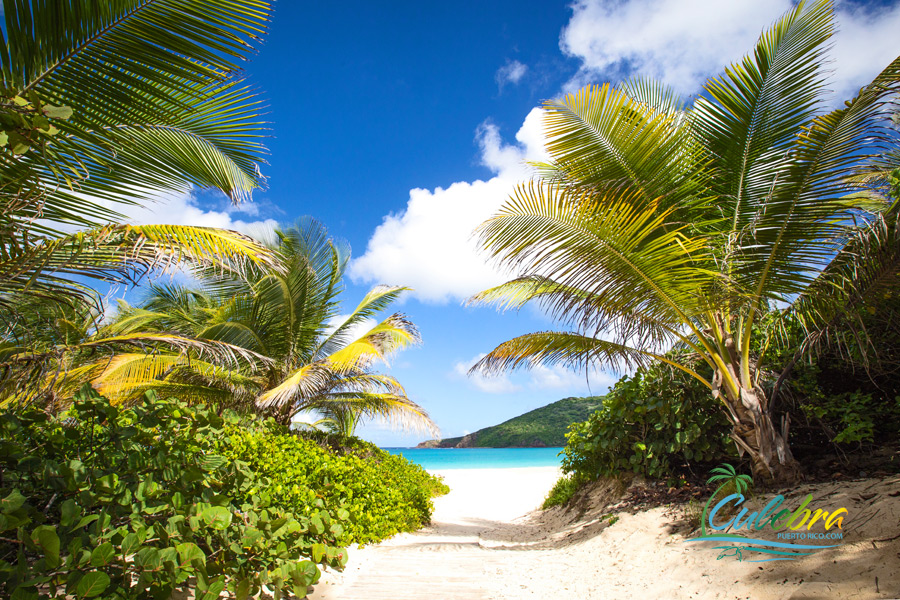 Flamenco Beach - Culebra Island, Puerto Rico 