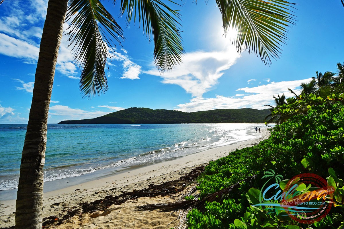 Flamenco Beach - Best things to do in Culebra, Puerto Rico