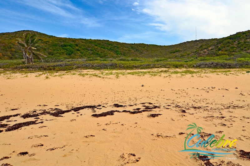 Playa Resaca - Beaches of Culebra Island, Puerto Rico