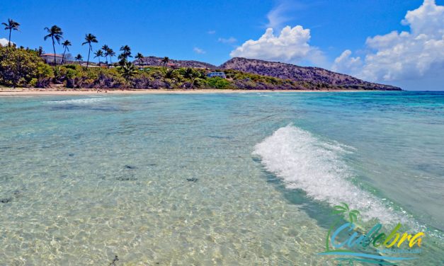 Experience the Stunning Beauty of Zoni Beach <BR>Culebra, Puerto Rico