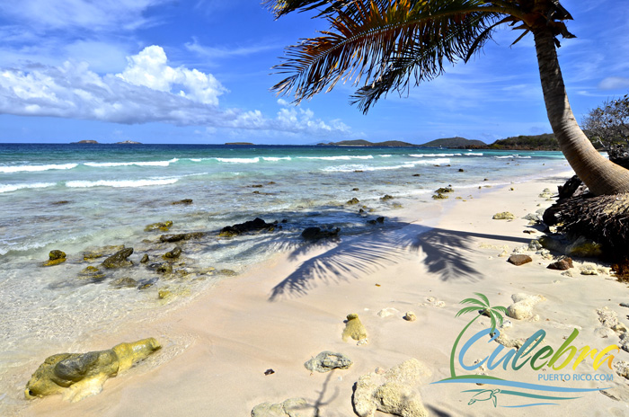 Zoni Beach, Culebra, Puerto Rico - Grand Beauty