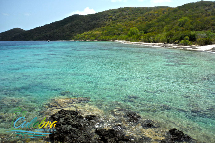 caribbean-best-snorkeling-beaches-carlos-rosario