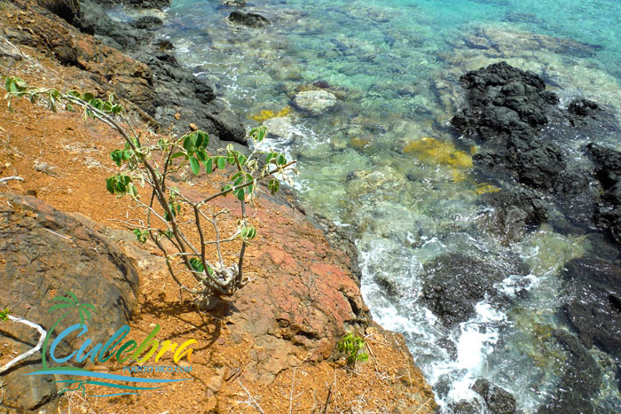 carlos-rosario-snorkeling-culebra-puerto-rico-8df