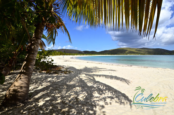 Flamenco Beach Culebra Puerto Rico Flamenco Full Guide 9649