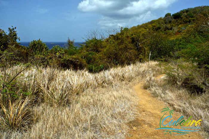 isla-de-culebra-hiking-trail-carlos-rosario-1