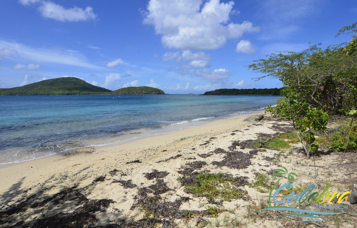 Culebra Tamarindo Beach Playa Guide Tamarindo Beach Isla De Culebra Puerto Rico