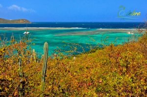 Culebra Best Things To Do & Places To Visit - Puerto Rico - 2024 Guide