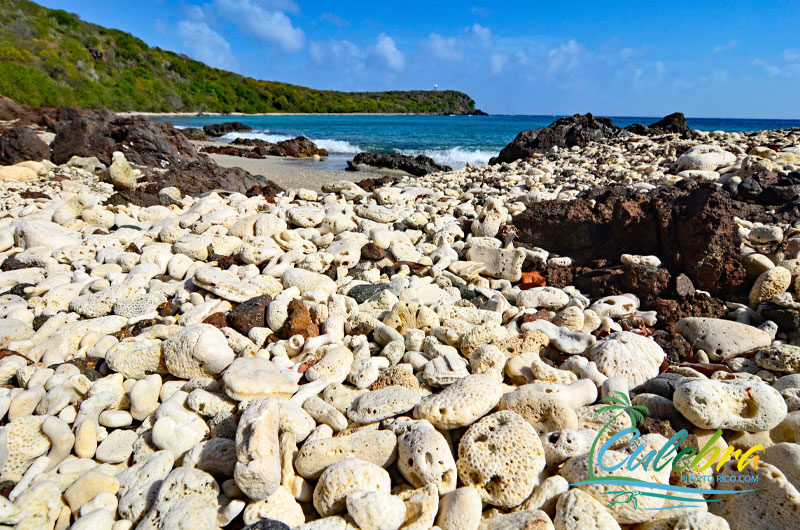 Culebra Island, Puerto Rico