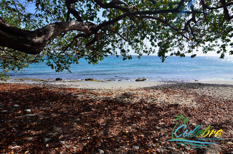 Punta Soldado Beach - Culebra, Puerto Rico