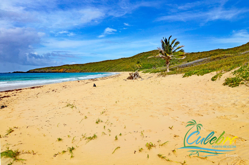 Playa Resaca - Culebra Puerto Rico Beaches