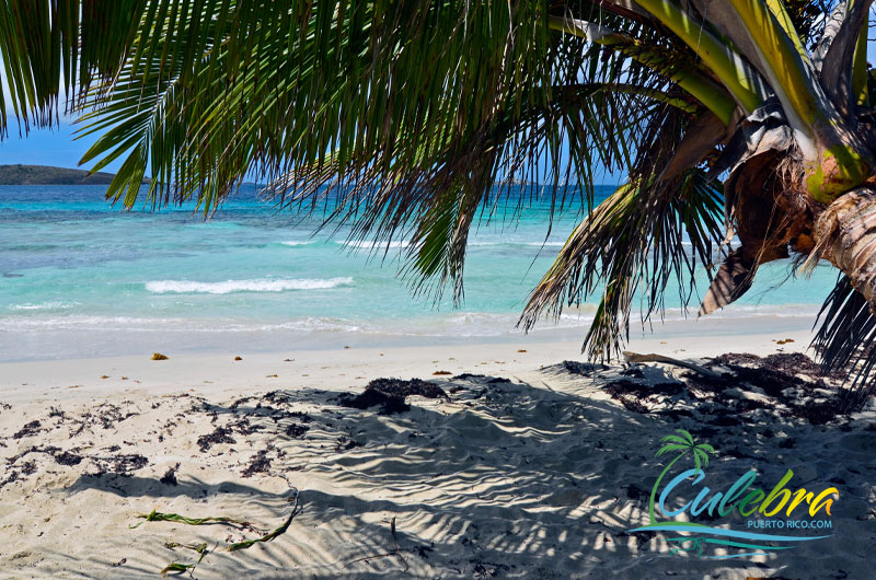 Zoni Beach - Culebra Island, Puerto Rico