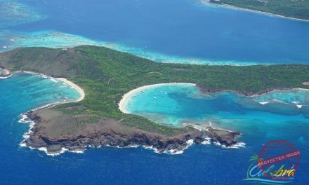 Top Rated Culebrita Tours – Culebra, Puerto Rico