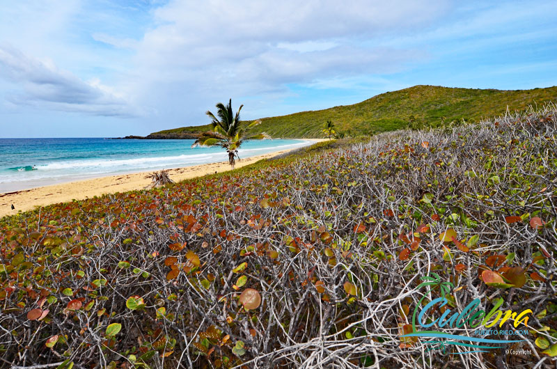 Playa Resaca - Beaches of Culebra Island, Puerto Rico