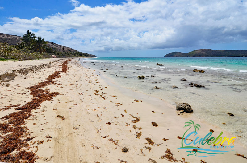 Zoni Beach - Culebra Island, Puerto Rico