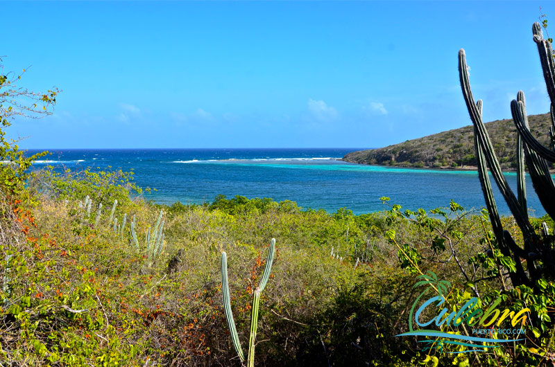 Punta Soldado - Culebra, Puerto Rico