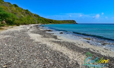 Punta Soldado Beach – Culebra, Puerto Rico
