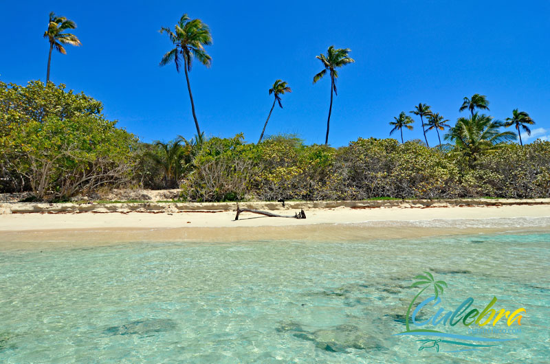 Zoni Beach - Culebra Island, Puerto Rico